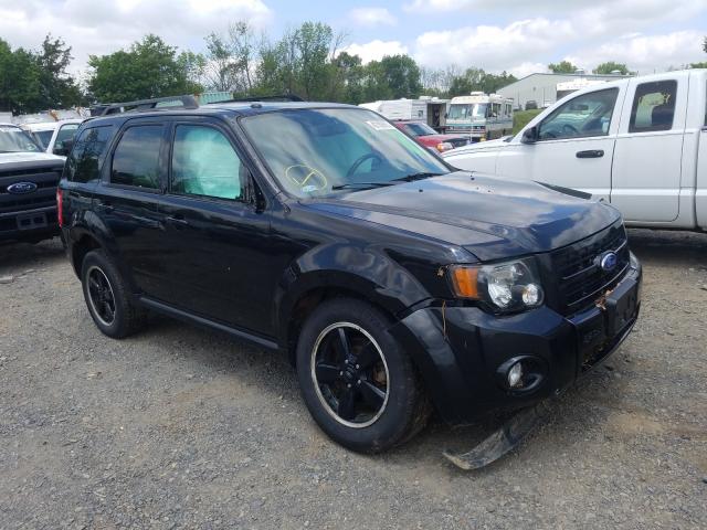 FORD ESCAPE XLT 2011 1fmcu9dg9bkb96505