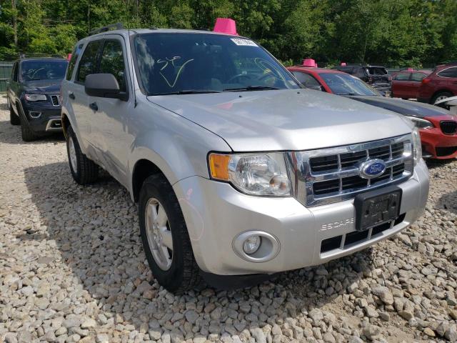 FORD ESCAPE XLT 2011 1fmcu9dg9bkc11892