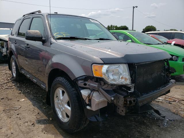 FORD ESCAPE XLT 2011 1fmcu9dg9bkc36601