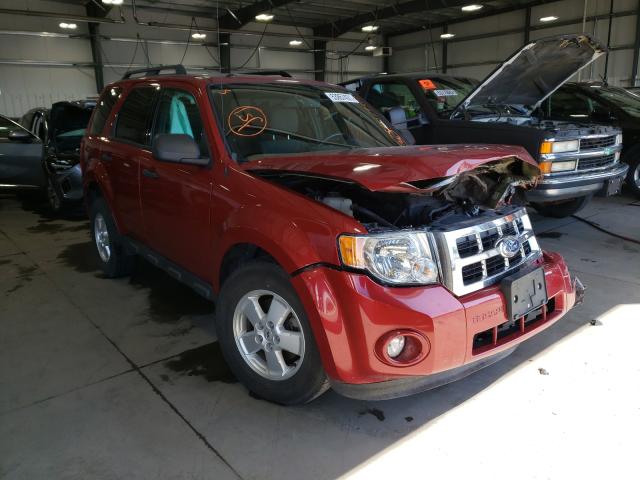 FORD ESCAPE XLT 2012 1fmcu9dg9ckb11986