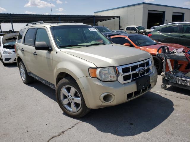 FORD ESCAPE XLT 2010 1fmcu9dgxaka04801