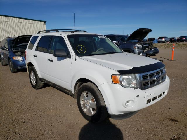 FORD ESCAPE XLT 2010 1fmcu9dgxaka88134