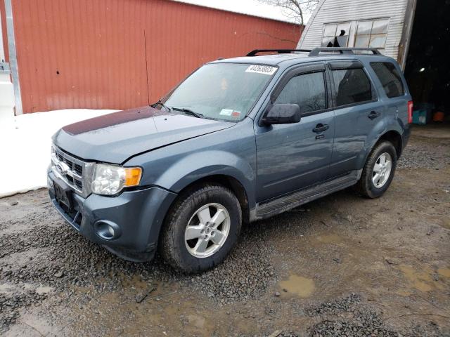 FORD ESCAPE XLT 2010 1fmcu9dgxakc21815