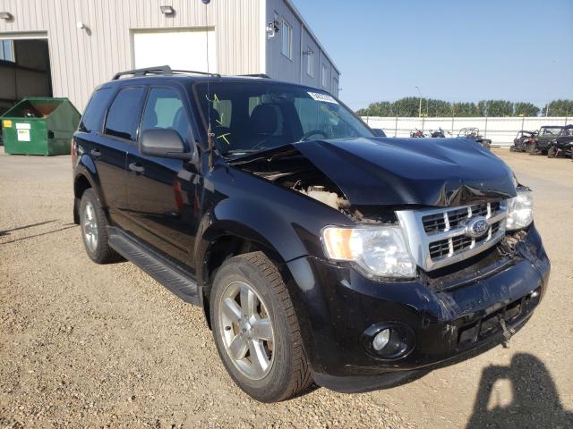 FORD ESCAPE XLT 2010 1fmcu9dgxakc57245