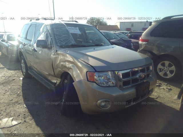 FORD ESCAPE 2010 1fmcu9dgxakc66320