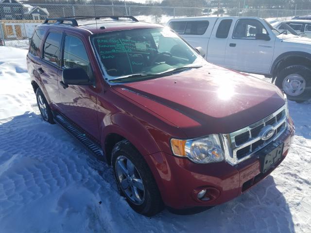 FORD ESCAPE XLT 2010 1fmcu9dgxakc71436