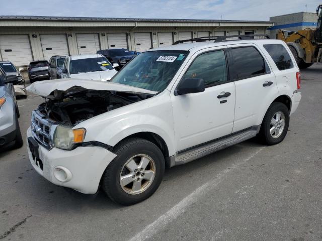 FORD ESCAPE XLT 2010 1fmcu9dgxakc73221