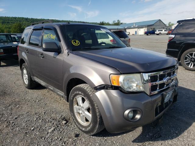 FORD ESCAPE XLT 2010 1fmcu9dgxakc81643