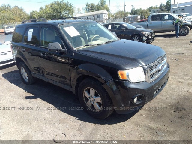 FORD ESCAPE 2010 1fmcu9dgxakc84400