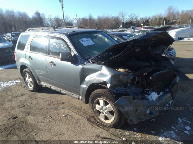 FORD ESCAPE 2010 1fmcu9dgxakc93694