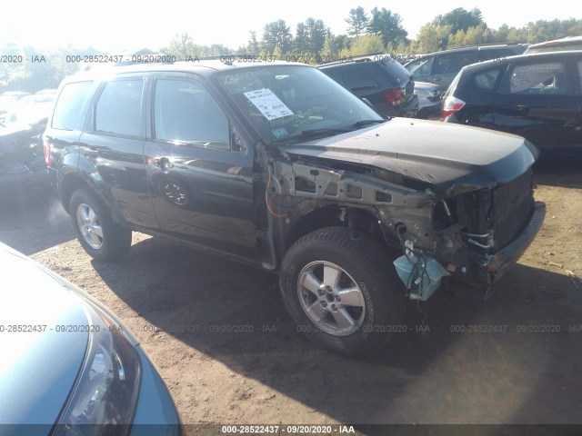 FORD ESCAPE 2010 1fmcu9dgxakc96563