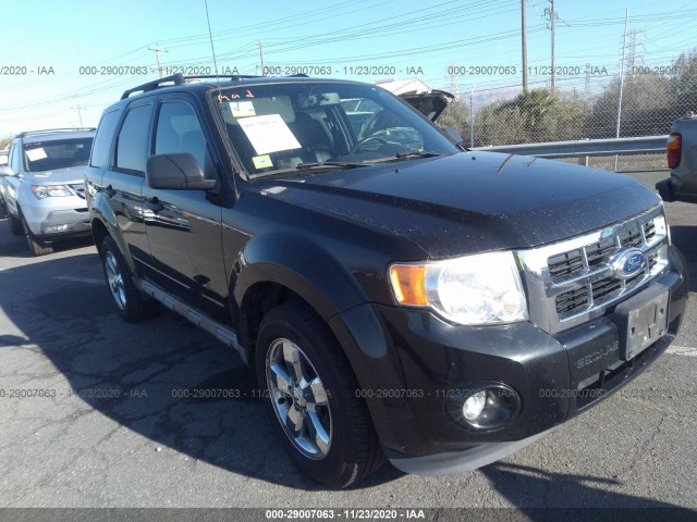 FORD ESCAPE 2011 1fmcu9dgxbka08509