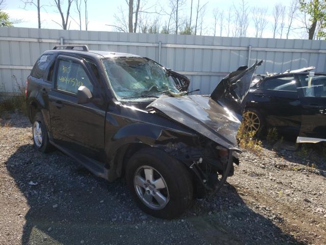 FORD ESCAPE XLT 2011 1fmcu9dgxbka99653