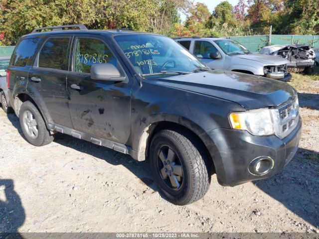 FORD ESCAPE 2011 1fmcu9dgxbkb08996