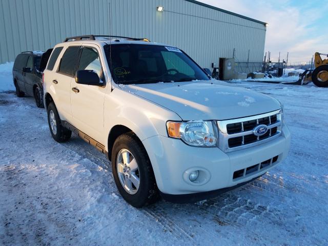 FORD ESCAPE XLT 2011 1fmcu9dgxbkc14901