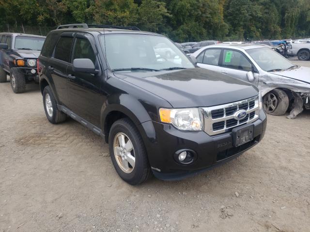 FORD ESCAPE XLT 2011 1fmcu9dgxbkc15871