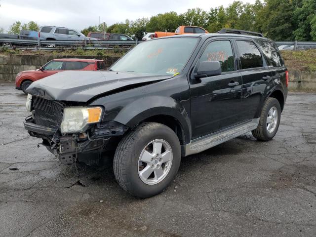 FORD ESCAPE XLT 2011 1fmcu9dgxbkc24196