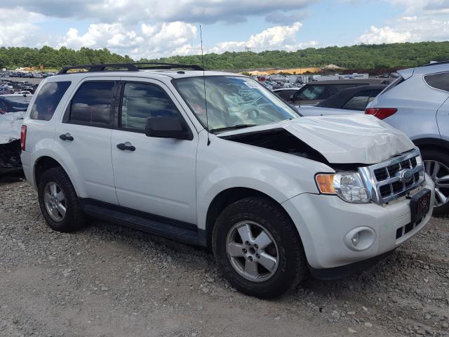 FORD ESCAPE XLT 2011 1fmcu9dgxbkc46537