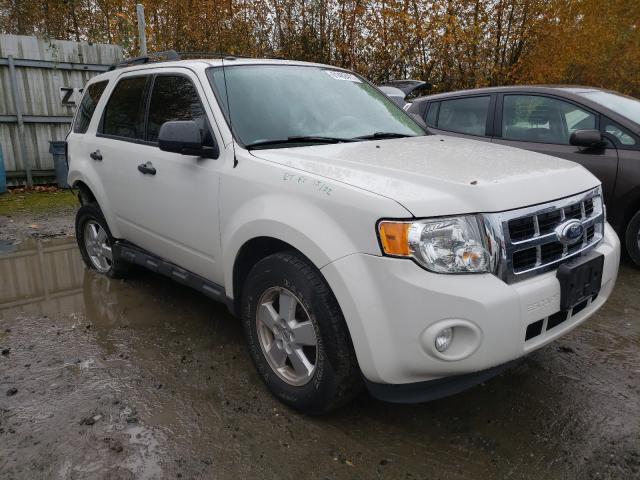 FORD ESCAPE XLT 2011 1fmcu9dgxbkc64181