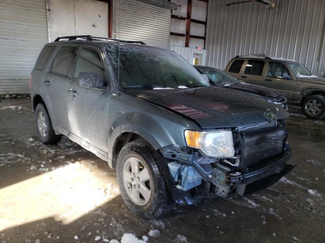 FORD ESCAPE XLT 2012 1fmcu9dgxcka31984