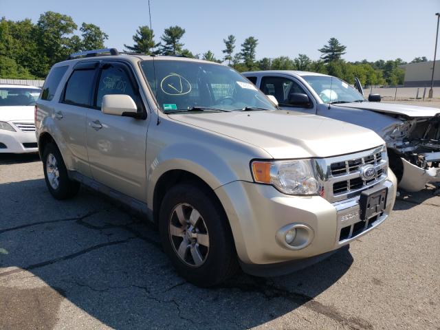 FORD ESCAPE LIM 2010 1fmcu9e71akd01616