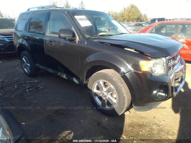 FORD ESCAPE 2011 1fmcu9e79bkb19146