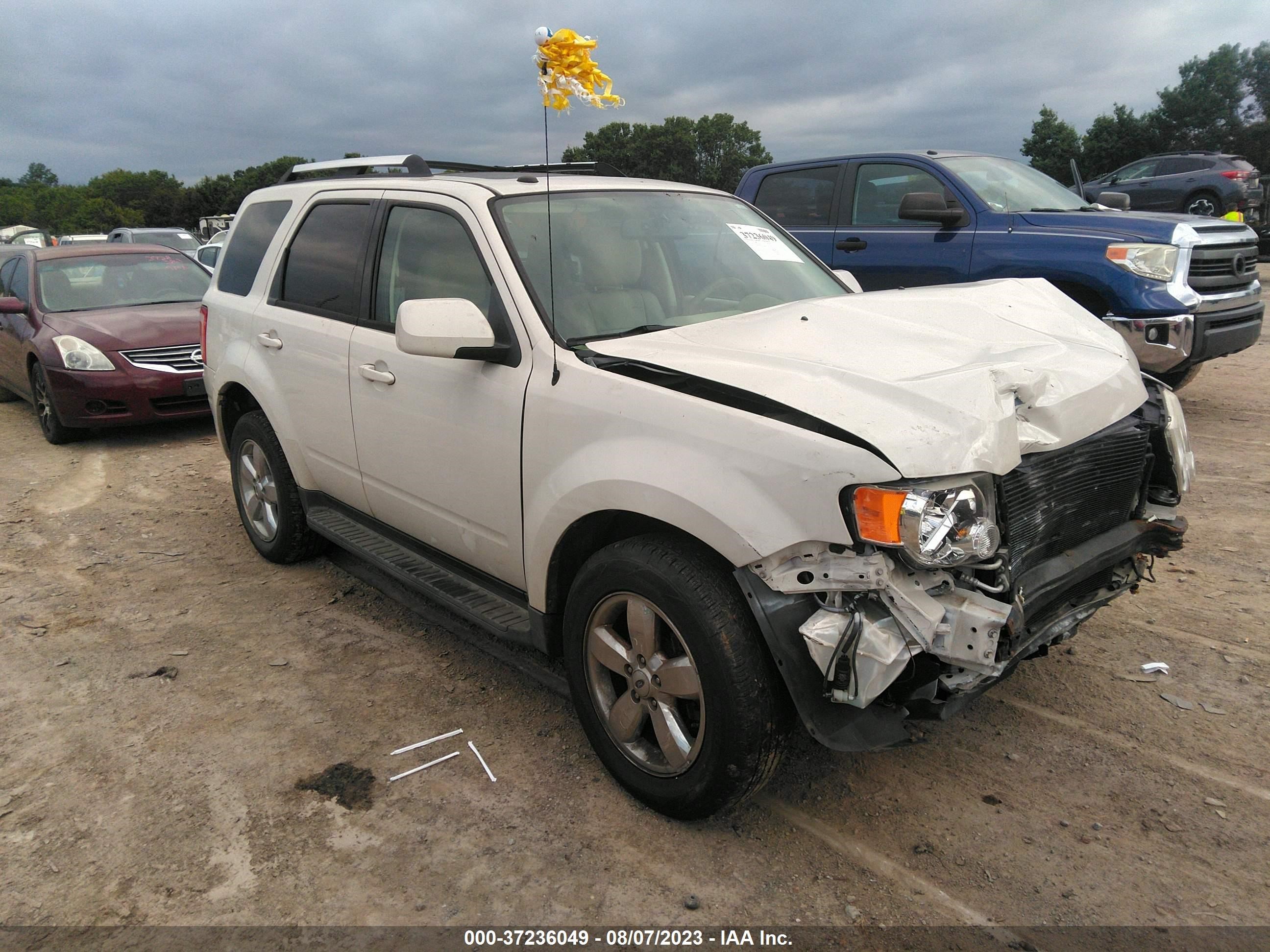 FORD ESCAPE 2010 1fmcu9eg0aka09004