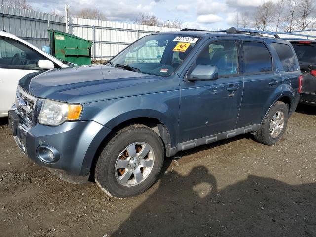 FORD ESCAPE LIM 2010 1fmcu9eg0akb12164