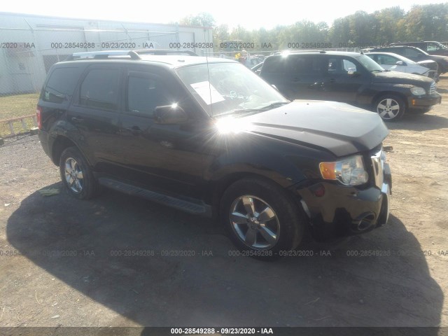 FORD ESCAPE 2010 1fmcu9eg0akc30361