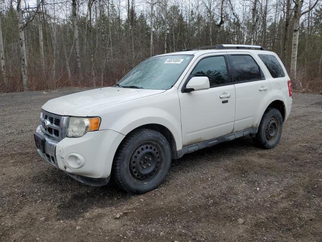 FORD ESCAPE 2010 1fmcu9eg0akc92374