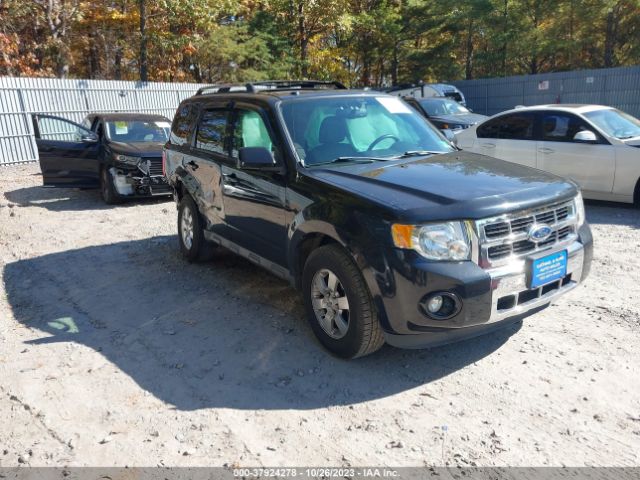 FORD ESCAPE 2011 1fmcu9eg0bkc52619