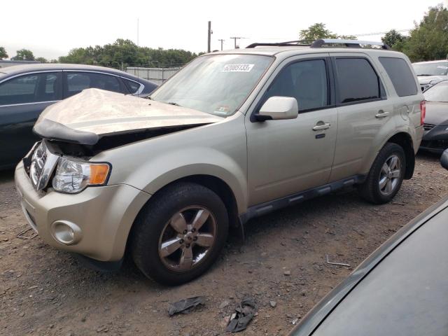 FORD ESCAPE LIM 2010 1fmcu9eg1aka85394