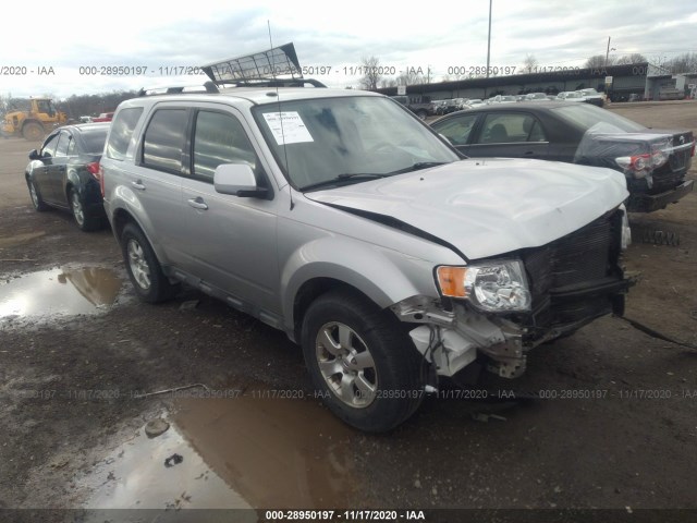 FORD ESCAPE 2010 1fmcu9eg1akb77816