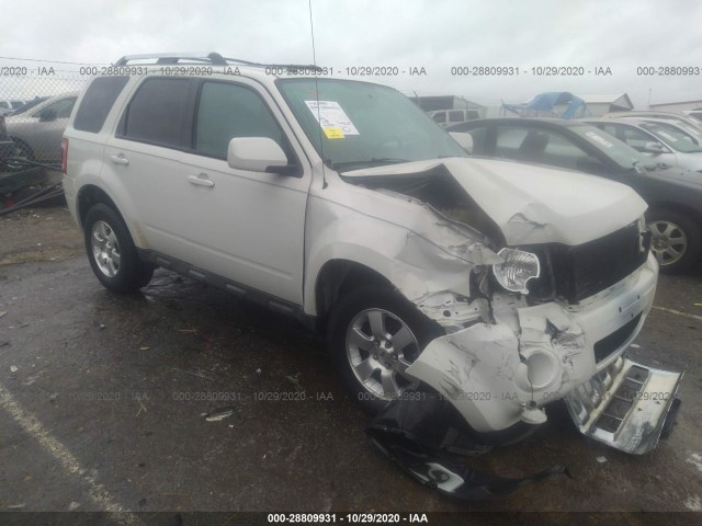 FORD ESCAPE 2010 1fmcu9eg1akd01311