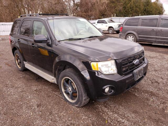 FORD ESCAPE LIM 2010 1fmcu9eg1akd13491