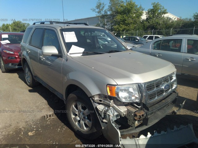 FORD ESCAPE 2010 1fmcu9eg1akd18609