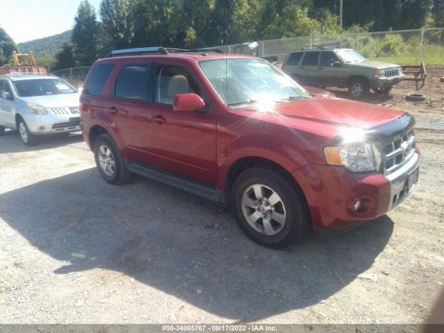 FORD ESCAPE 2011 1fmcu9eg1bka13600