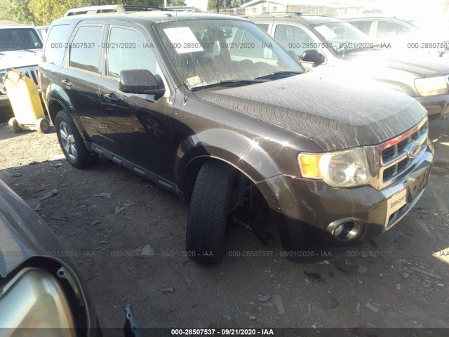 FORD ESCAPE 2011 1fmcu9eg1bka53949