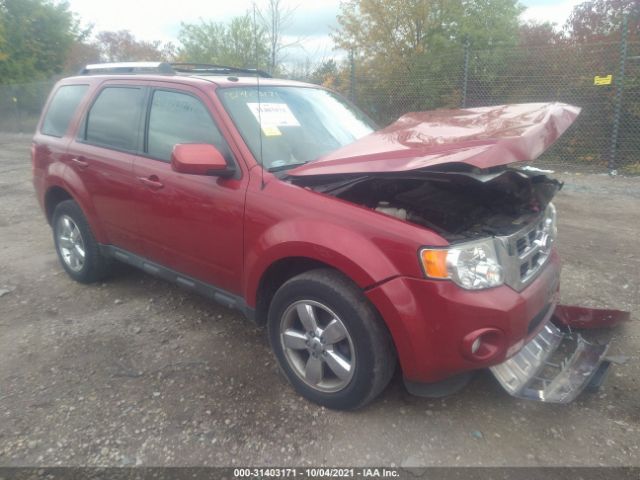 FORD ESCAPE 2011 1fmcu9eg1bkb10862