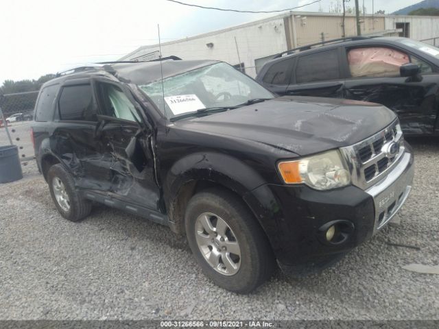 FORD ESCAPE 2011 1fmcu9eg1bkb29833