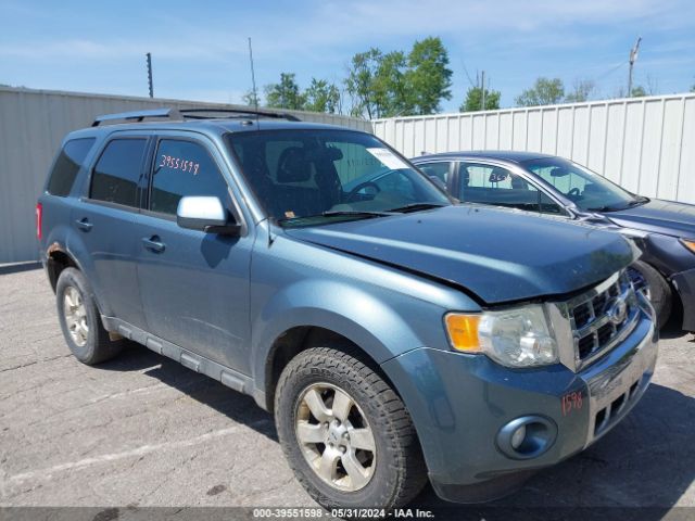 FORD ESCAPE 2011 1fmcu9eg1bkb39066