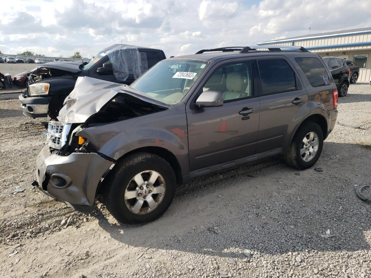 FORD ESCAPE 2011 1fmcu9eg1bkb71709