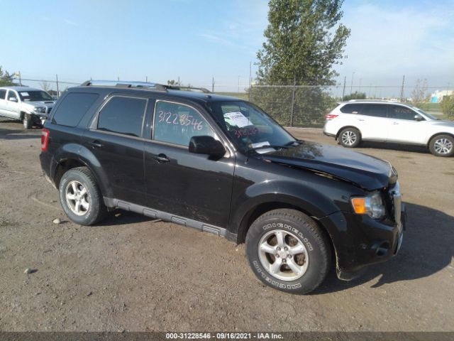 FORD ESCAPE 2011 1fmcu9eg1bkb98277