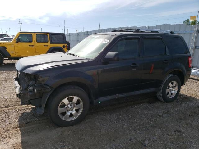 FORD ESCAPE 2011 1fmcu9eg1bkc06278