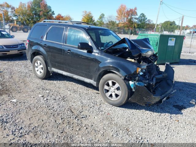 FORD ESCAPE 2010 1fmcu9eg2akc93784