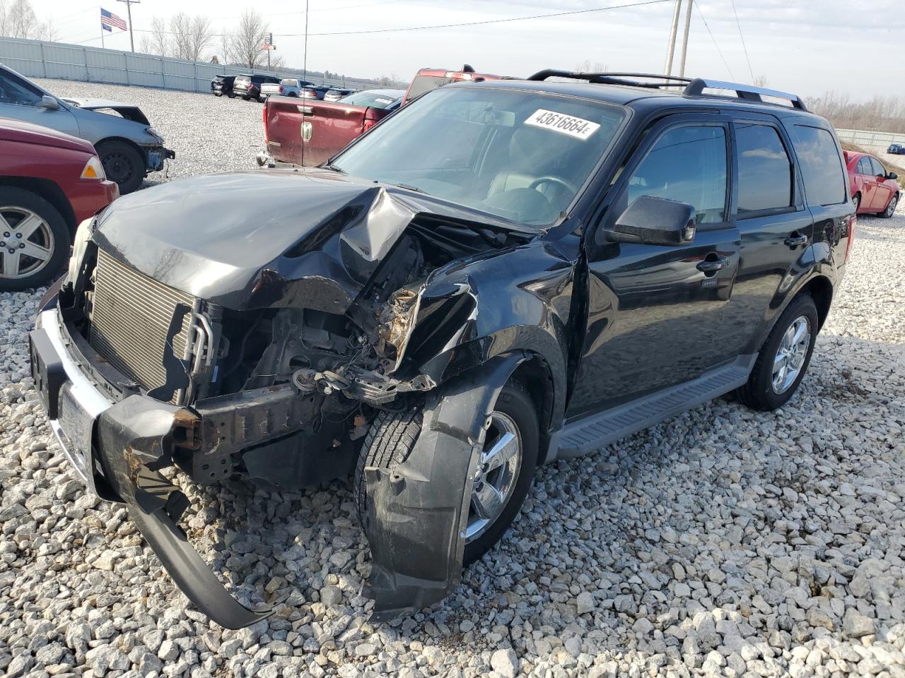 FORD ESCAPE 2010 1fmcu9eg2akd13726