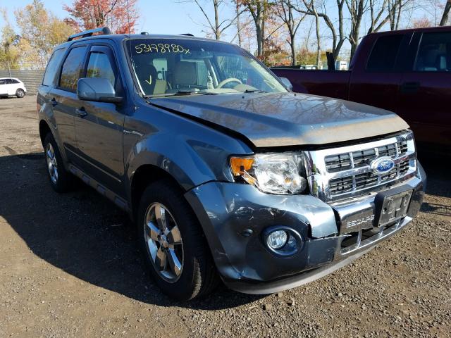 FORD ESCAPE LIM 2010 1fmcu9eg2akd36598