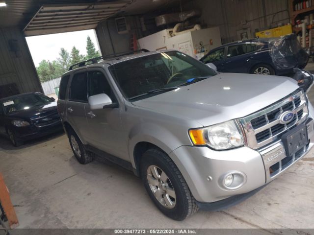 FORD ESCAPE 2011 1fmcu9eg2bka18532