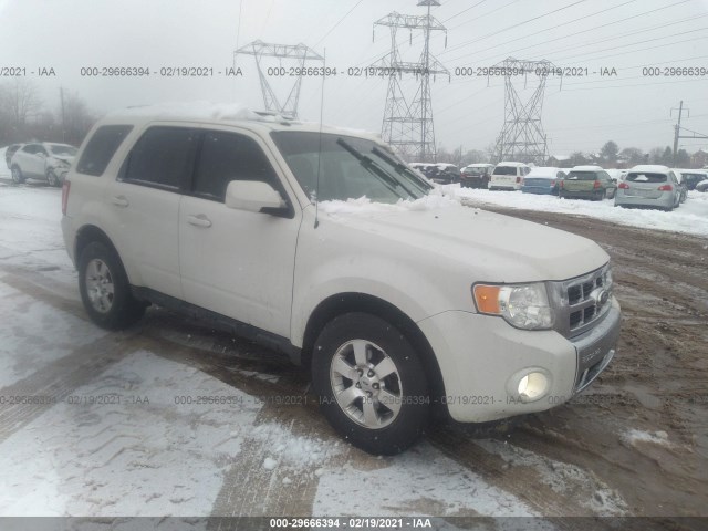 FORD ESCAPE 2011 1fmcu9eg2bka96518