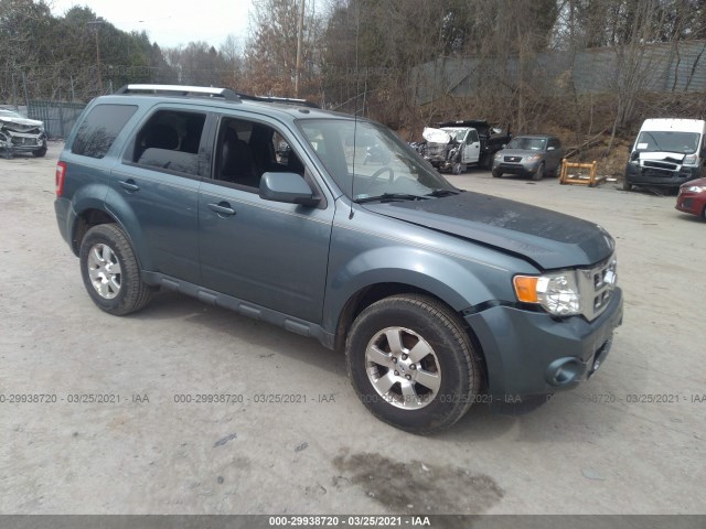 FORD ESCAPE 2011 1fmcu9eg2bkc13904